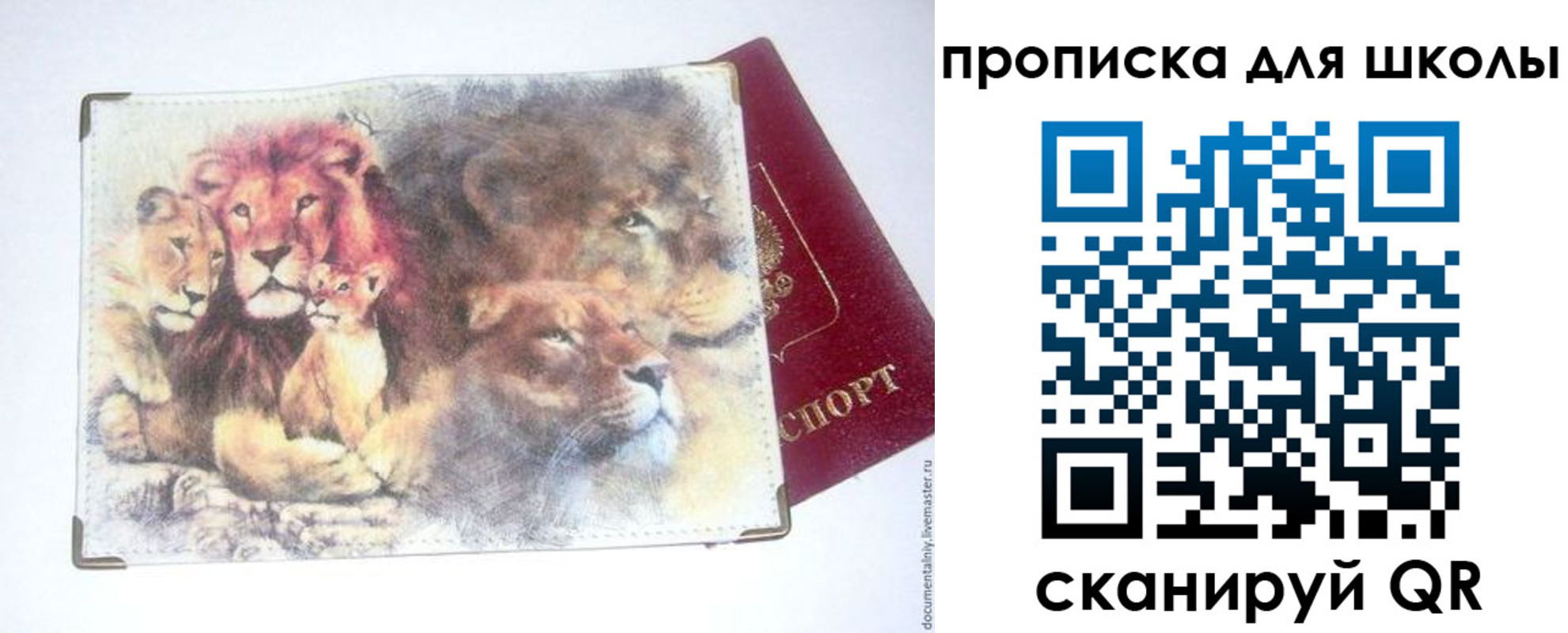 временная регистрация гарантия в Сорочинске